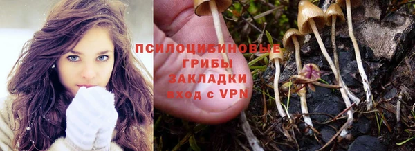 МДПВ Всеволожск